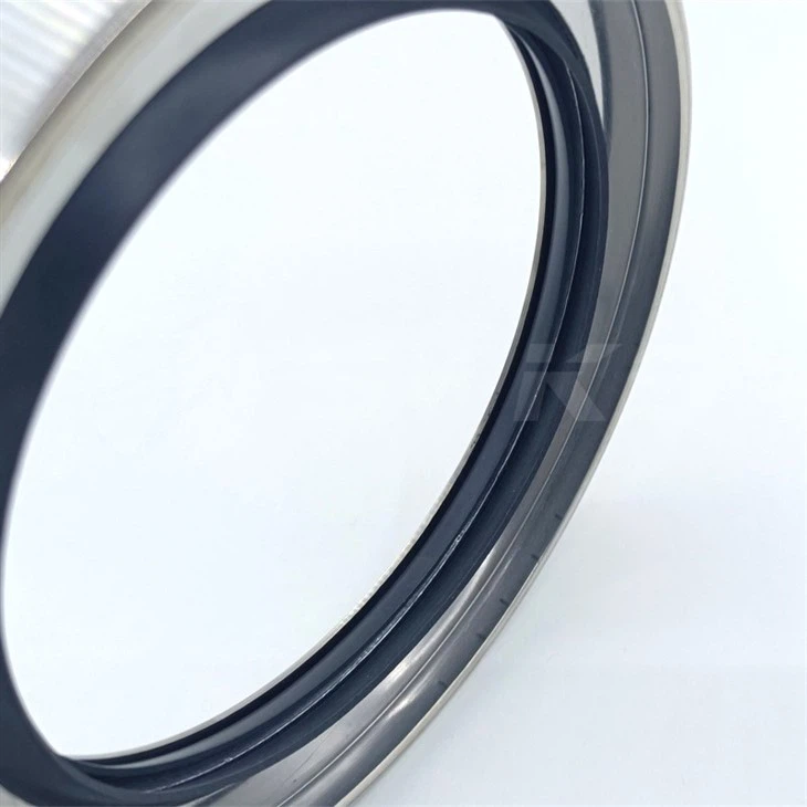 Double Lips PTFE Stainless Steel Oil Seals