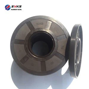 30 * 75 * 7 डबल होंठ टीजी तेल मुहरों